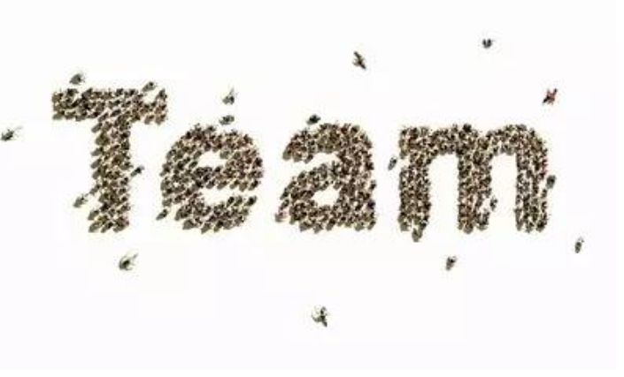 轉(zhuǎn)換視角，鹿看餐飲品牌的投資價(jià)值