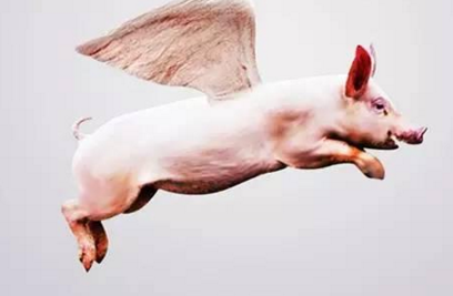 互聯(lián)網(wǎng)時(shí)代，且看風(fēng)口上的智慧餐飲豬怎么飛？