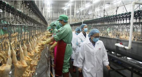 8000塊起家，如今靠養(yǎng)殖做到2000億，足可比肩華為卻鮮有人知|餐飲界