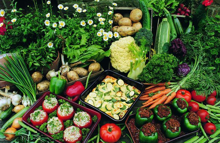 把生命浪費(fèi)在美好上，體驗(yàn)不好怎么行？（上）