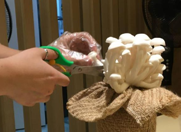 餐飲三巨頭的“爆品”玄機(jī)，其實(shí)就是4個(gè)字|餐飲界