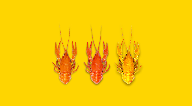 小龍蝦產(chǎn)業(yè)的工業(yè)革命，深加工對(duì)于市場(chǎng)意味著啥？