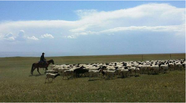 餐飲定位就是品類+客群？錯！還要看消費場景|餐飲界
