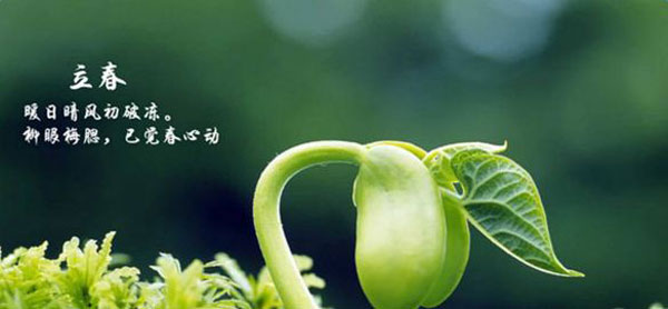 用好這幾點(diǎn)，讓你的火鍋加盟店在春天有個(gè)紅紅火火的開始