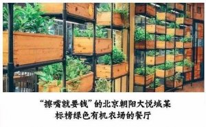 但凡說紙巾要2元的餐廳，我不會去第二次！|餐飲界