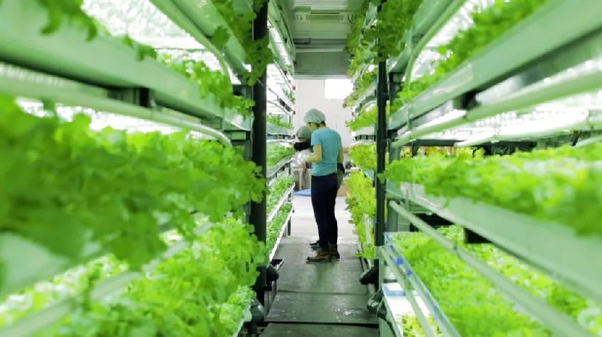 新鮮，餐飲營銷的全新戰(zhàn)場|餐飲界